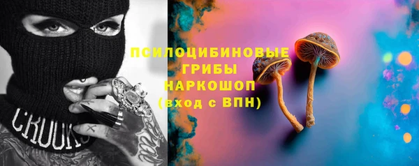 ешки Аркадак