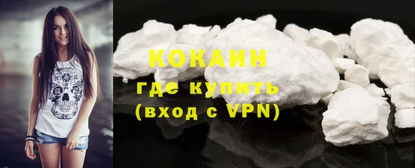 ешки Аркадак