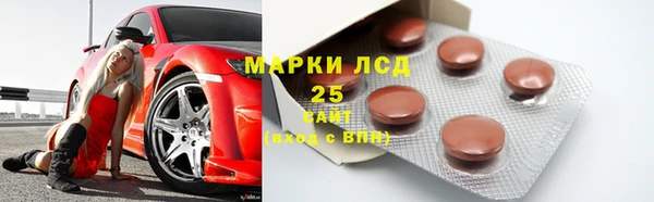 ешки Аркадак
