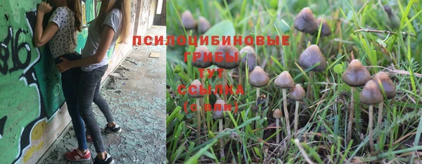 амф Арсеньев
