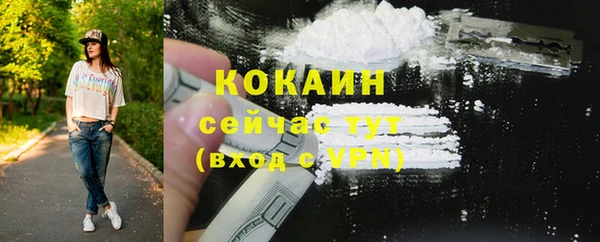 ешки Аркадак