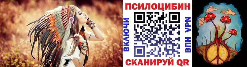 Псилоцибиновые грибы Cubensis  ссылка на мегу ONION  Берёзовский 